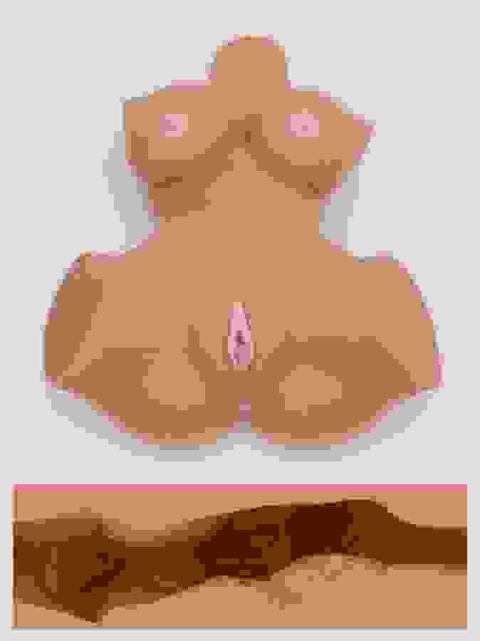 THRUST Pro Elite Courtney Realistic Vagina, Ass and Tits Masturbator 264.5oz, Flesh Tan, hi-res